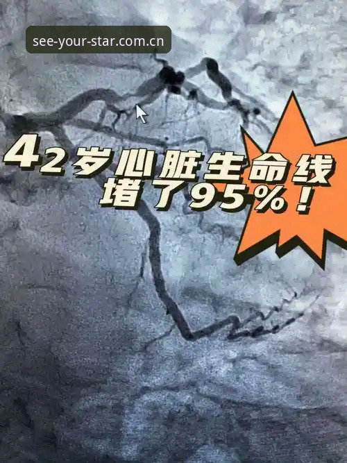 最新看见自己的星辰pinyin登录 5年后再次昏厥:埃里克森心脏事件的3个关键数据与4次生命信号