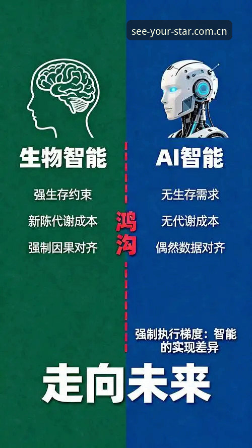 看见自己的星辰pinyin登录 揭秘