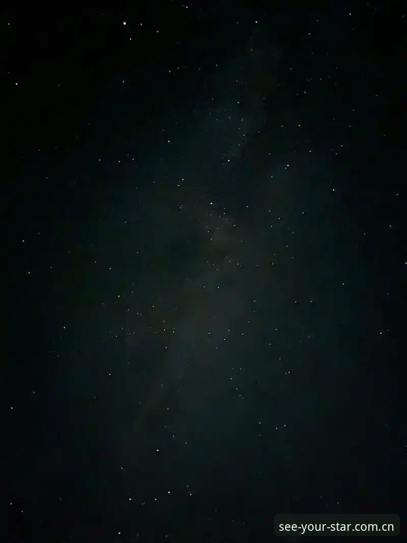 看见自己的星辰pinyin登录 看见自己的星辰pinyin登录详解:从输入到星空,三步走完