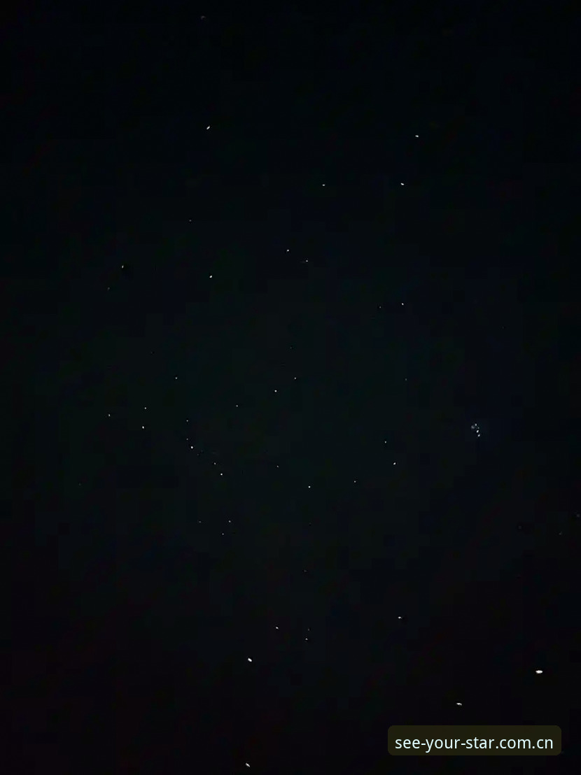 看见自己的星辰pinyin登录攻略 看见自己的星辰拼音登录操作教程:从路径踩坑到星空入口