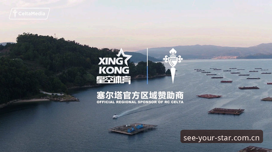 星空体育入口实战指南：从pinyin登录到星域检索的完整路径